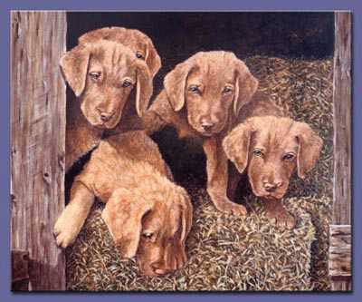 Chessie James Gang by Gene Canning Pricing Limited Edition Print image