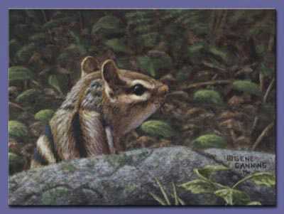 Chipmunk Friend Algon by Gene Canning Pricing Limited Edition Print image