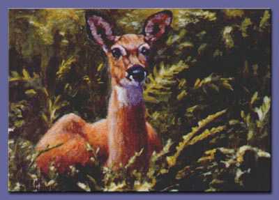 Deer Study 1 by Gene Canning Pricing Limited Edition Print image