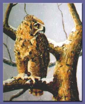 Great Horn Owl Branch by Gene Canning Pricing Limited Edition Print image