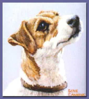 Jack Russell Study by Gene Canning Pricing Limited Edition Print image