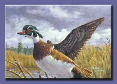 Taking Flight by Gene Canning Pricing Limited Edition Print image