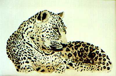 Ians Leopard by Bruce W Krucke Pricing Limited Edition Print image