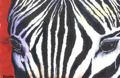 Contemplative Zebra by Bruce W Krucke Pricing Limited Edition Print image