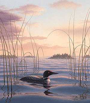 Sundown Sentry Loon by Phil Scholer Pricing Limited Edition Print image
