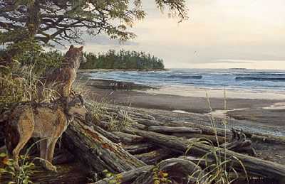 Scanning Beach by Mark Hobson Pricing Limited Edition Print image