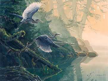 Two Herons Flight by Mark Hobson Pricing Limited Edition Print image