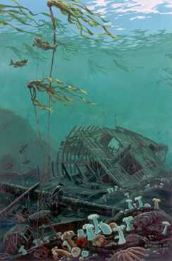 Shipwreck by Mark Hobson Pricing Limited Edition Print image
