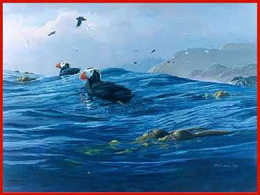 Tuftd Puffins Riding by Mark Hobson Pricing Limited Edition Print image