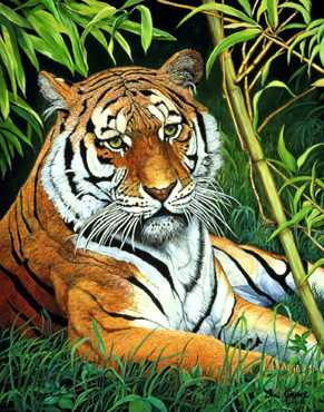 Bamboo Bengal by Doni Kendig Pricing Limited Edition Print image