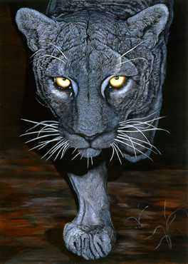 On The Prowl by Doni Kendig Pricing Limited Edition Print image