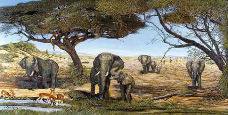 Eleph Waterhole by Doni Kendig Pricing Limited Edition Print image