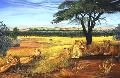 Lying Kruger by Doni Kendig Pricing Limited Edition Print image