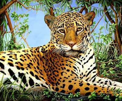 Mala Matriarch by Doni Kendig Pricing Limited Edition Print image