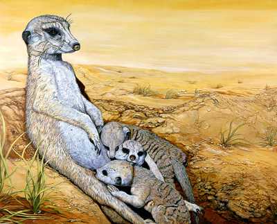 Meerkat Mom by Doni Kendig Pricing Limited Edition Print image