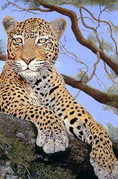 Sentinel by Doni Kendig Pricing Limited Edition Print image