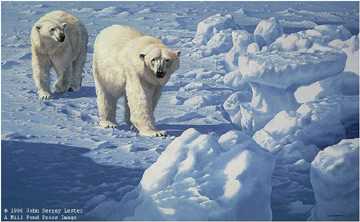 Along Ice Floe Bears by John Seerey-Lester Pricing Limited Edition Print image