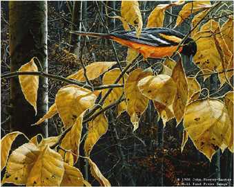 Cottonwood Gold by John Seerey-Lester Pricing Limited Edition Print image