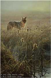 Dawn On Marsh Coyote by John Seerey-Lester Pricing Limited Edition Print image