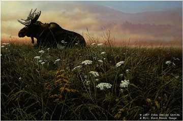Daybreak Moose by John Seerey-Lester Pricing Limited Edition Print image