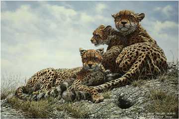 Kenyan Family Cheetahs by John Seerey-Lester Pricing Limited Edition Print image
