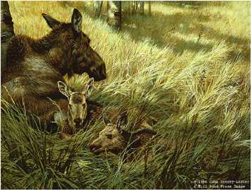 Northwoods Family by John Seerey-Lester Pricing Limited Edition Print image