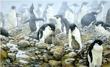 Spring Flurry Penguins by John Seerey-Lester Pricing Limited Edition Print image