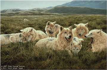 Tundra Family Wolves by John Seerey-Lester Pricing Limited Edition Print image