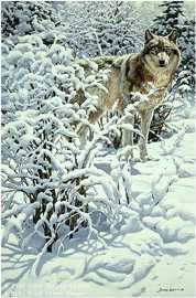 Winter Spirit Wolf by John Seerey-Lester Pricing Limited Edition Print image
