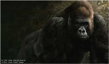 Face To Face by John Seerey-Lester Pricing Limited Edition Print image