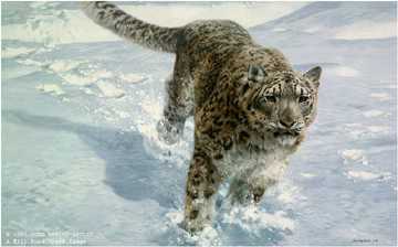 Chase Snow Leopard by John Seerey-Lester Pricing Limited Edition Print image