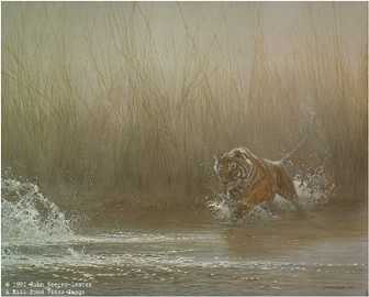 Ranthambhore Rush by John Seerey-Lester Pricing Limited Edition Print image