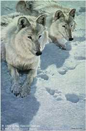 Sisters Arctic Wolv by John Seerey-Lester Pricing Limited Edition Print image