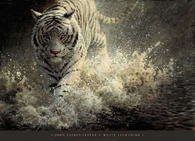 White Ligh Cnvs Pstrun by John Seerey-Lester Pricing Limited Edition Print image