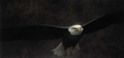 Freedom Ii by John Seerey-Lester Pricing Limited Edition Print image