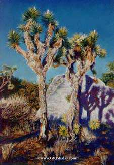 Joshua Tree Dawn by Gary R Johnson Pricing Limited Edition Print image