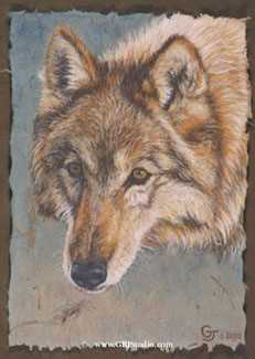 A Wolf Named Red by Gary R Johnson Pricing Limited Edition Print image