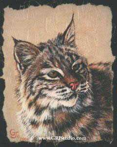 Bobcat by Gary R Johnson Pricing Limited Edition Print image
