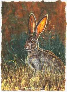 Im All Ears by Gary R Johnson Pricing Limited Edition Print image