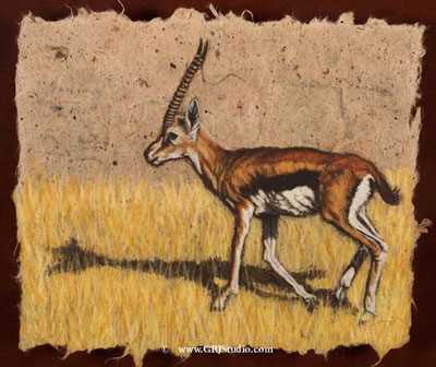 Thompsons Gazelle by Gary R Johnson Pricing Limited Edition Print image