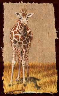 Young Giraffe by Gary R Johnson Pricing Limited Edition Print image
