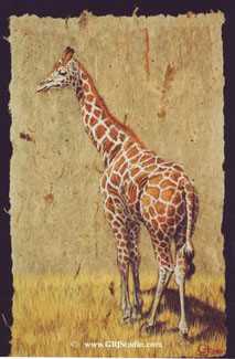 Giraffe by Gary R Johnson Pricing Limited Edition Print image