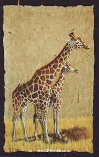 Giraffes by Gary R Johnson Pricing Limited Edition Print image
