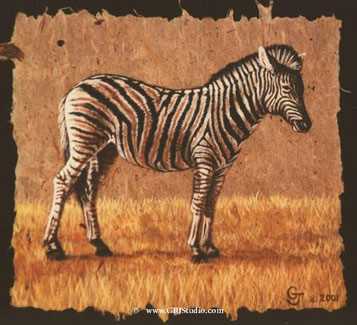 Plains Zebra by Gary R Johnson Pricing Limited Edition Print image