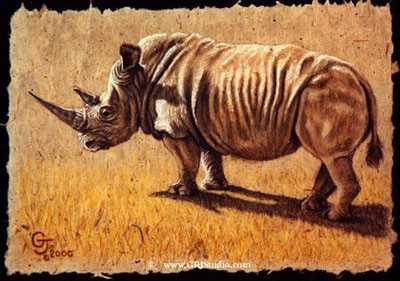 White Rhino by Gary R Johnson Pricing Limited Edition Print image