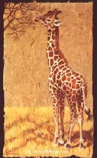 Reticulated Giraffe by Gary R Johnson Pricing Limited Edition Print image