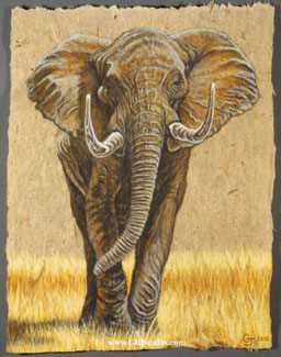 African Elephant by Gary R Johnson Pricing Limited Edition Print image