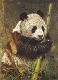 Panda by Gary R Johnson Pricing Limited Edition Print image