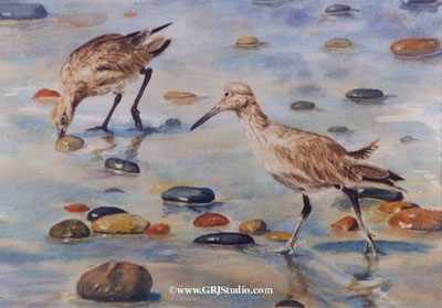 Willets by Gary R Johnson Pricing Limited Edition Print image