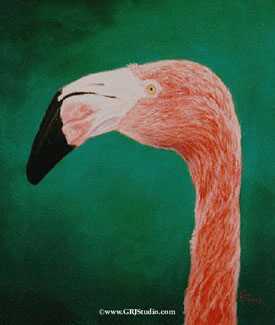 Flamingo by Gary R Johnson Pricing Limited Edition Print image